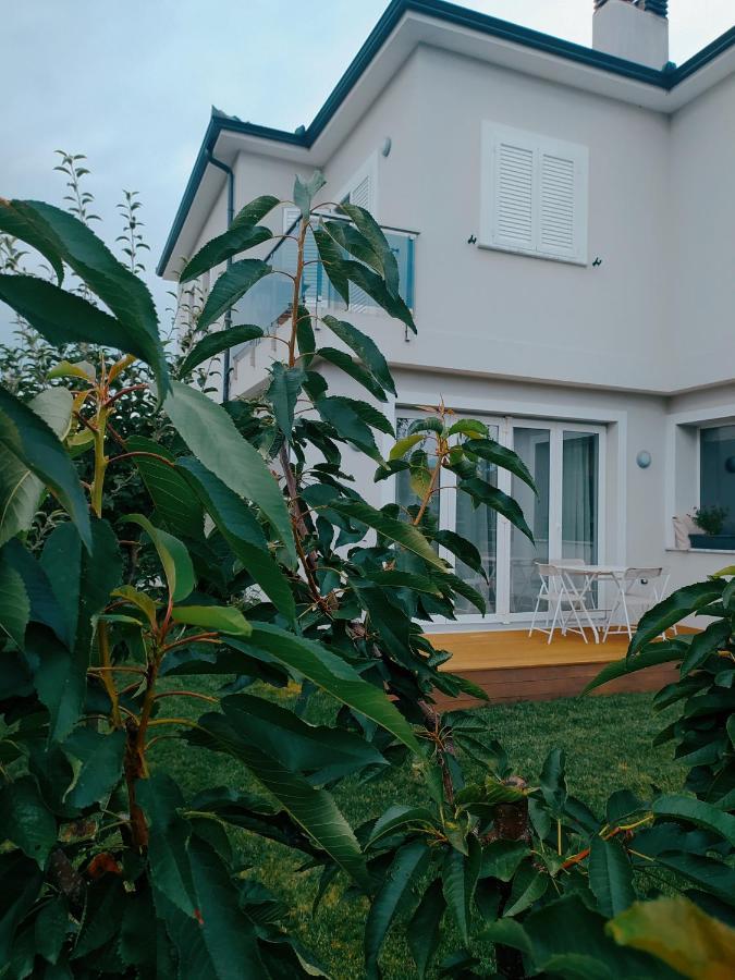 Marena B&B Pogradec Extérieur photo