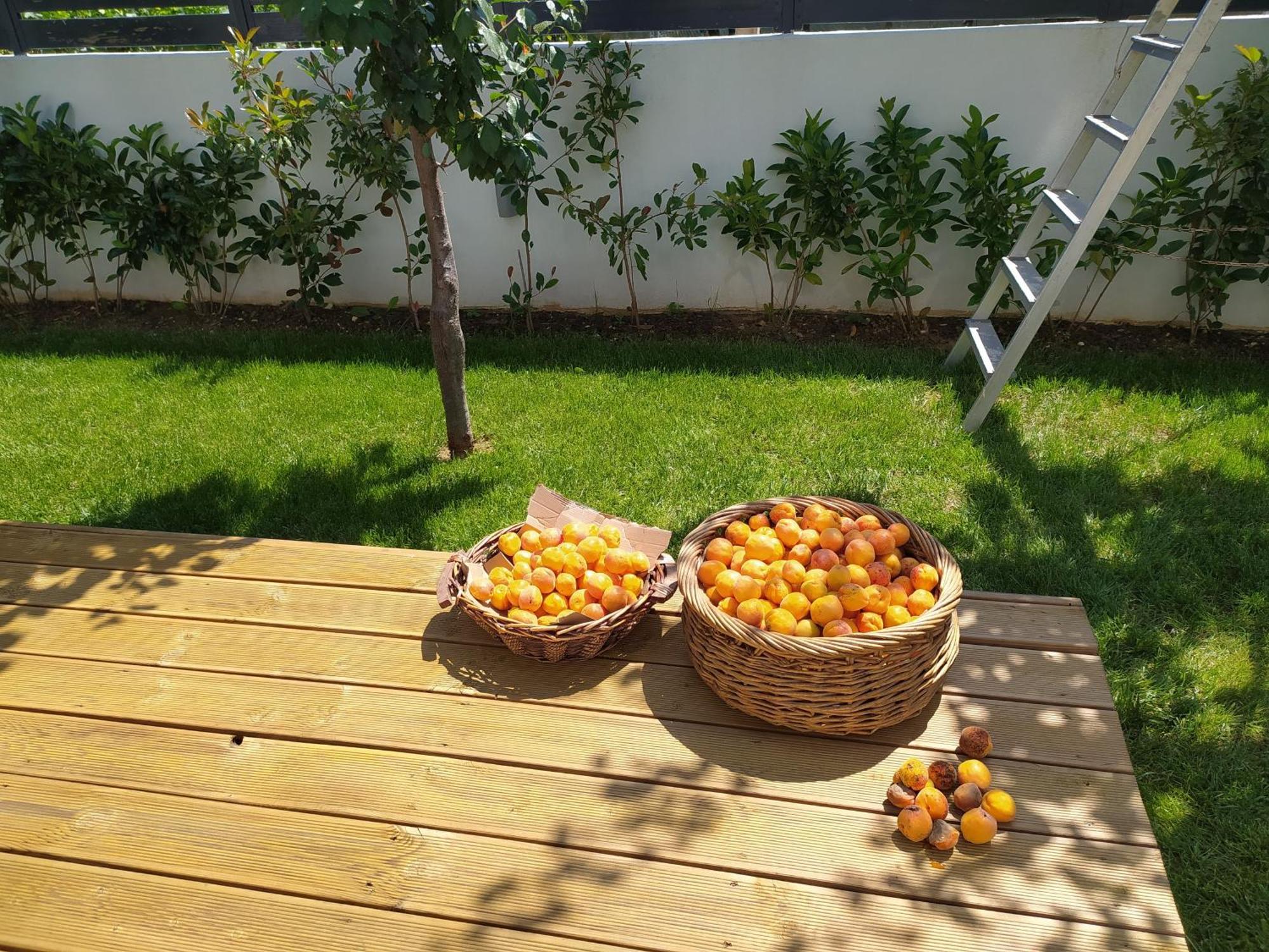 Marena B&B Pogradec Extérieur photo